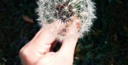 How to Stop Severe Hay Fever Ruining your Summer